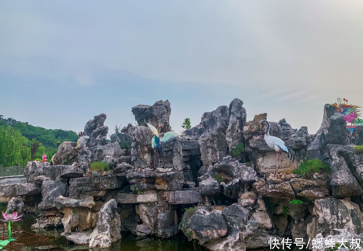 凤凰台|浙江深处有个远离喧嚣小众景点，被誉天然氧吧，与秦始皇有关