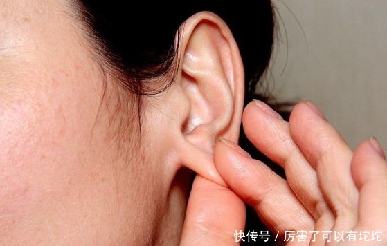 血液|血管“清洁工”被发现,不是木耳,你若爱吃,降血脂,血管干净净
