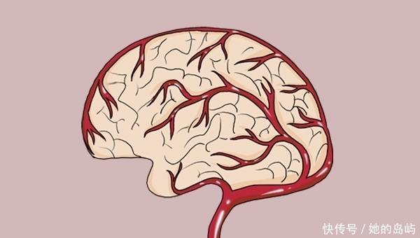 一天吃一个鸡蛋好不好？胆固醇高，可以吃吗？国内外研究给出答案