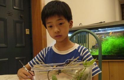 秋天|不管有钱没钱,秋天多吃2种食物,大脑营养足,孩子成绩会更好