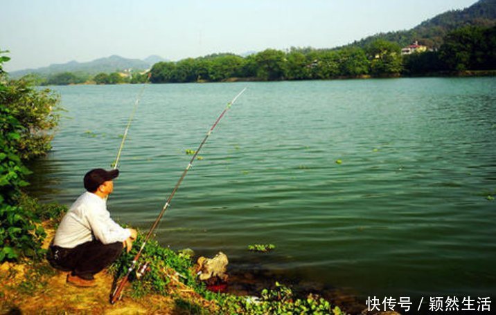 野生|老钓友私藏配方,专攻野生鲫鱼,制作简单效果好,别错过