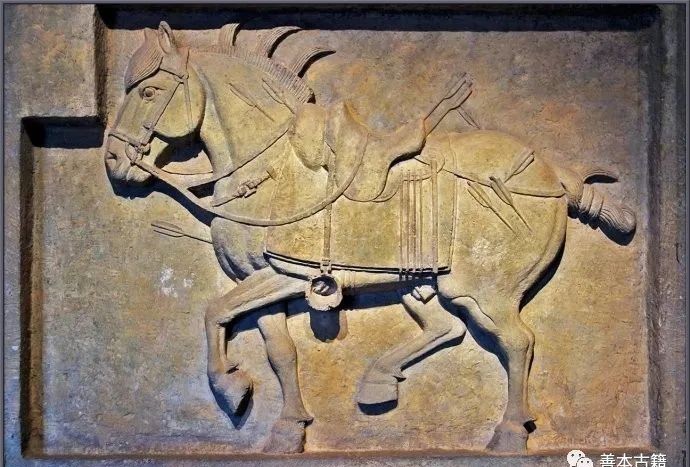文物之劫:唐太宗的昭陵二骏是怎样流落到美国的