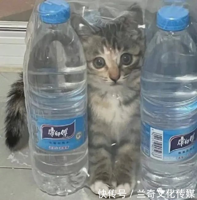 平台|“各大平台的网友都有哪些病？”哈哈哈哈哈看到最后笑吐了！