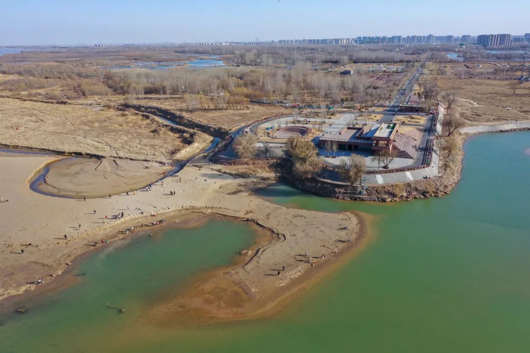 郑州|春暖花开春游时！郑州黄河湿地公园春意盎然，不少市民前来踏青游玩