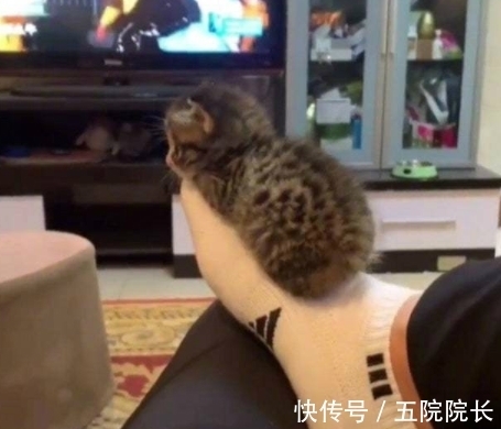 |搞笑GIF趣图:妹子,你就不要再跳了,看把孩子吓成啥样了!