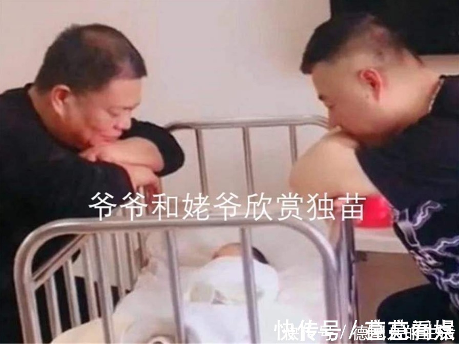 出生|家里“独苗”刚出生,爷爷外公凝视半小时不动,网友:以为是照片