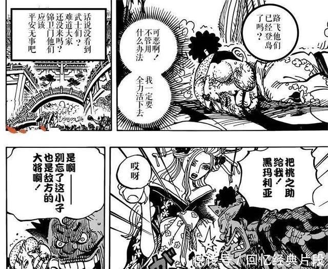 海贼王|海贼王982话路飞即将对战可爱的乌尔缇，三档就能征服她，爱了