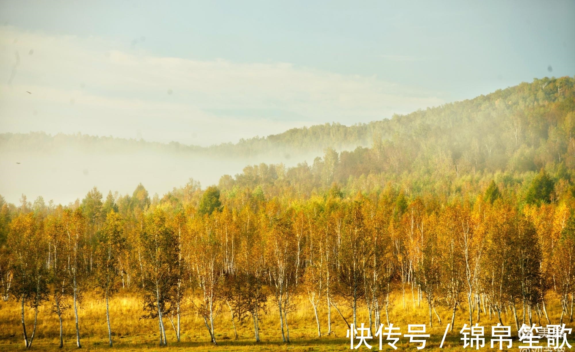 走进大兴安岭遇见秋色