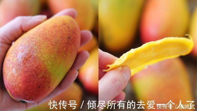 大台农|芒果大“比拼”,贵妃芒、金煌芒、台农芒到底哪个更好吃?