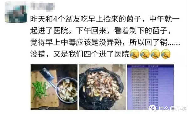 蘑菇|去了趟云南，看看吃蘑菇到底能不能见小人