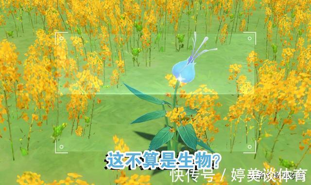 生物|原神：拍照活动被玩坏，玩家上演“花式拍照”，检测人物胖次颜色