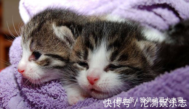 |搞笑幽默我老婆出差回来,喊道你怎么把别的女人带回家里来