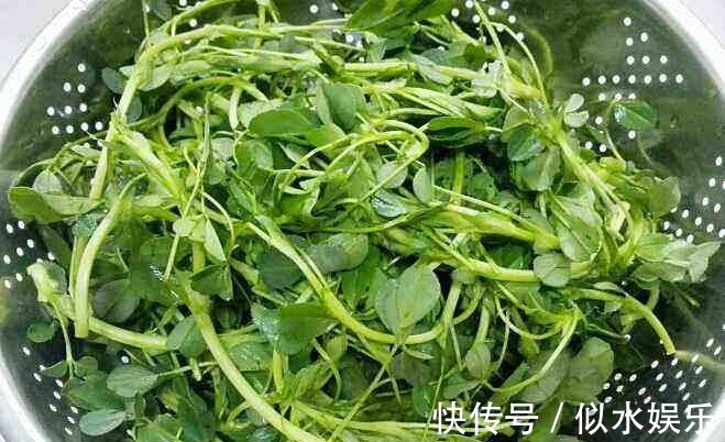 营养素|多吃4种菜, 钙含量比牛奶还高, 一分钱都不用花