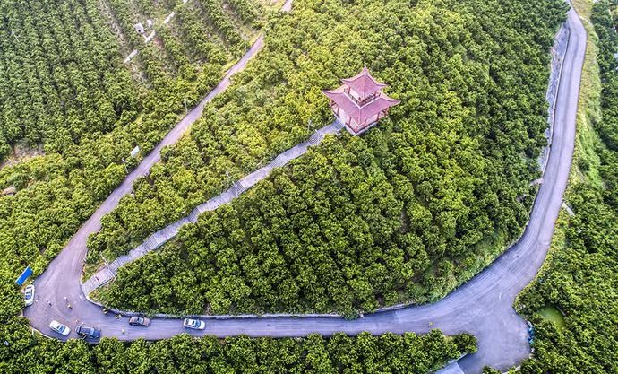 重庆忠县：“三峡橘海”友谊村