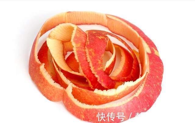 君子兰这样养,不黄叶不烂根,叶绿花艳,开花多