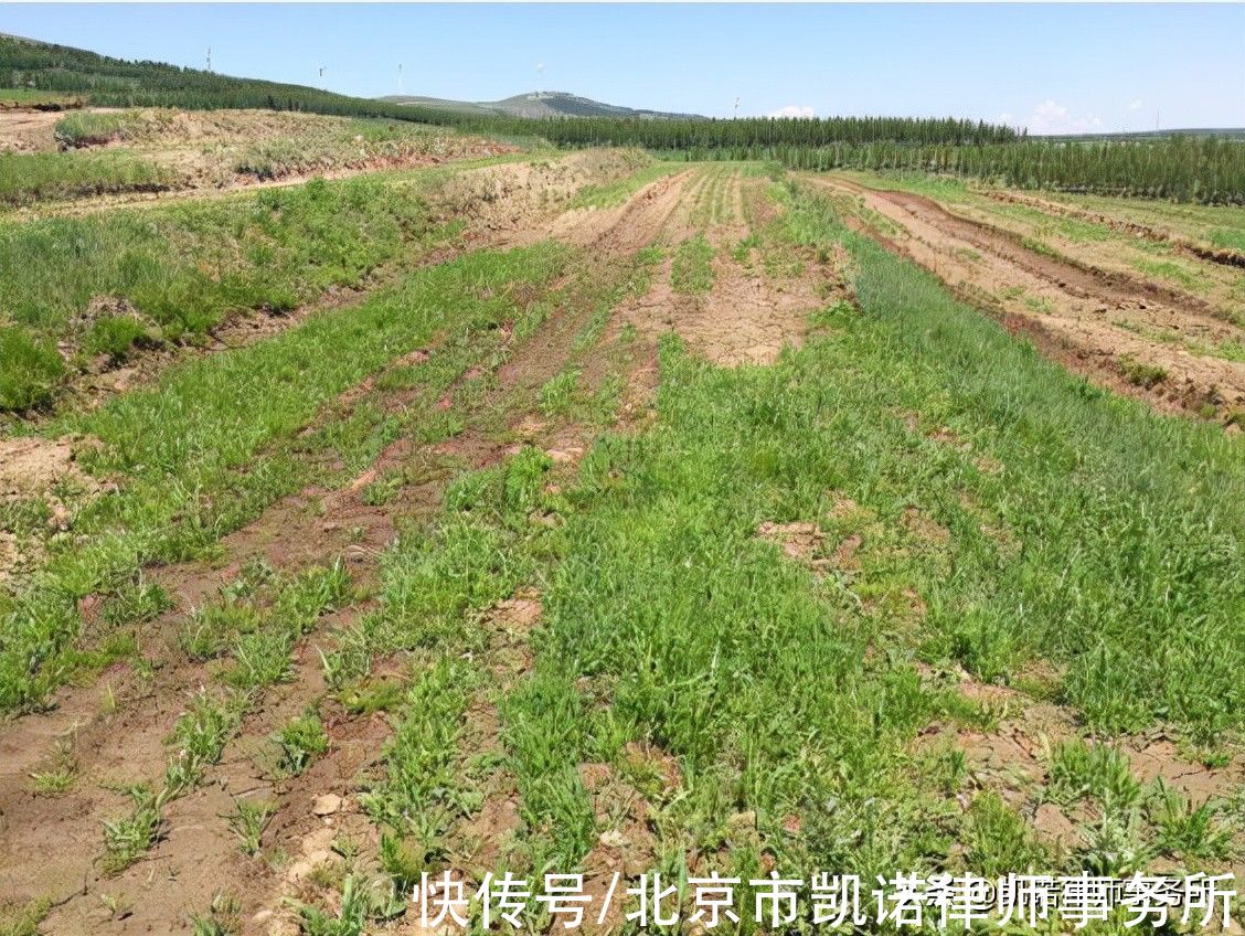 被拆迁人|拆迁征地中，这个权利你用了吗