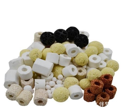 饲养观赏鱼想不死鱼,就要把以下简单的事情重复做,做到熟练为止