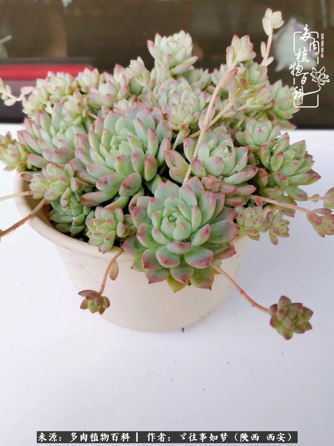 愿你付出甘之如饴,愿你所得归于欢喜!