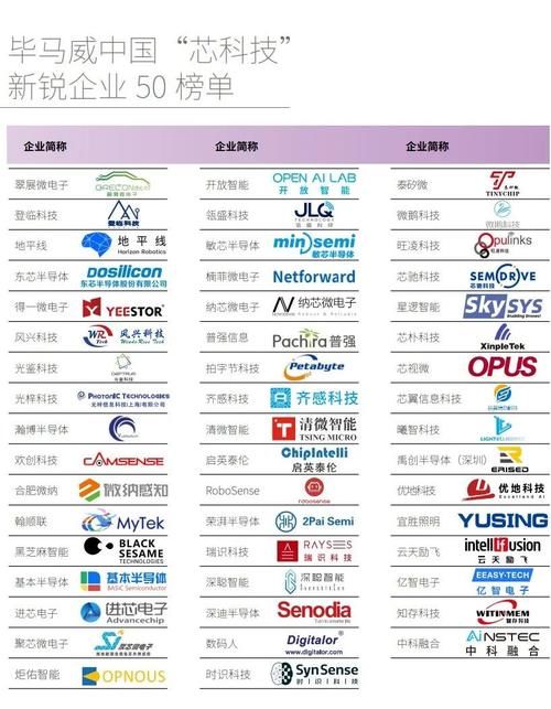 光谷|光谷两家企业入选毕马威中国芯片新锐50强