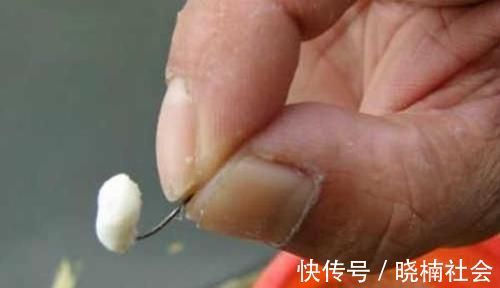 冬钓鲫鱼民间特色饵料，多种蘸饵钓配方汇总，最适合钓大鲫鱼使用