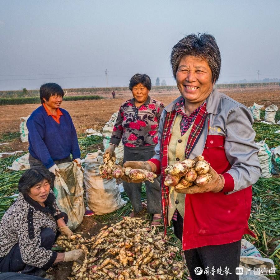 Female Style｜Jiang Nong's Joy