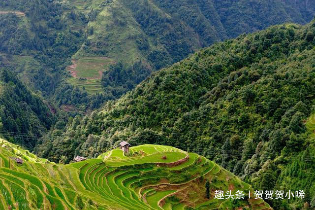 贵州最漂亮的梯田原来在这里，聚山水灵气之精华，去一次终身难忘