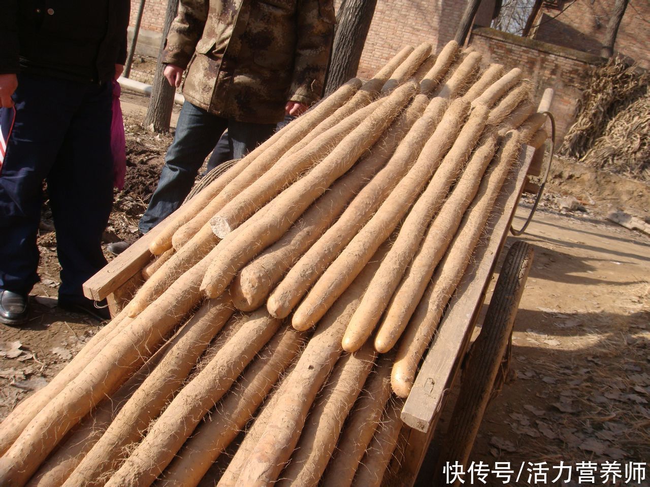 十胃九病|生吃花生米可以养胃？营养师揭秘：适量吃这4种食物都对胃有帮助