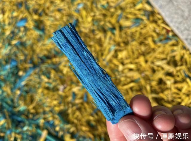 老年|百花未放,奥匹公园颜值依然在线,幕后功臣竟然是它