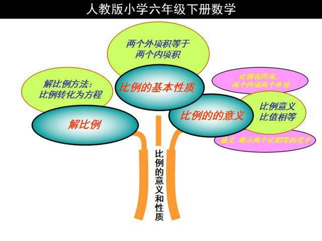 下册|人教版六年级数学下册思维导图汇总