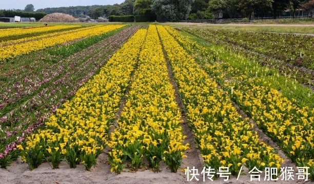 白羊座|一周以后，恰逢其时，保持爱意，遍地生情，旧人回头，赚钱不愁