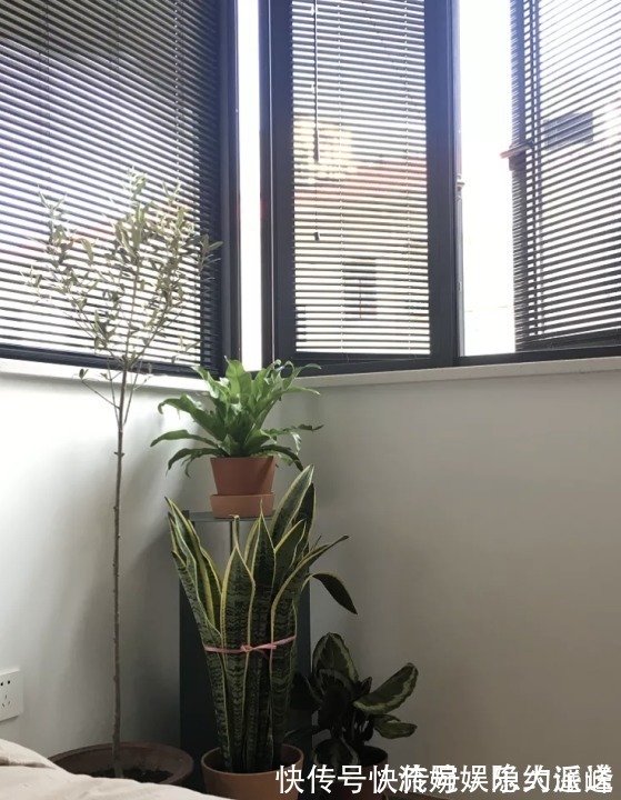 收纳|小户型要这么装,24㎡玄关秒变厨房和洗衣房,收纳翻倍方便实用!