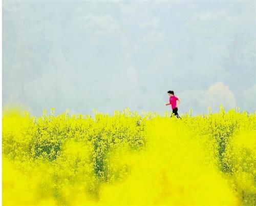 铜鉴湖公园花海跑道