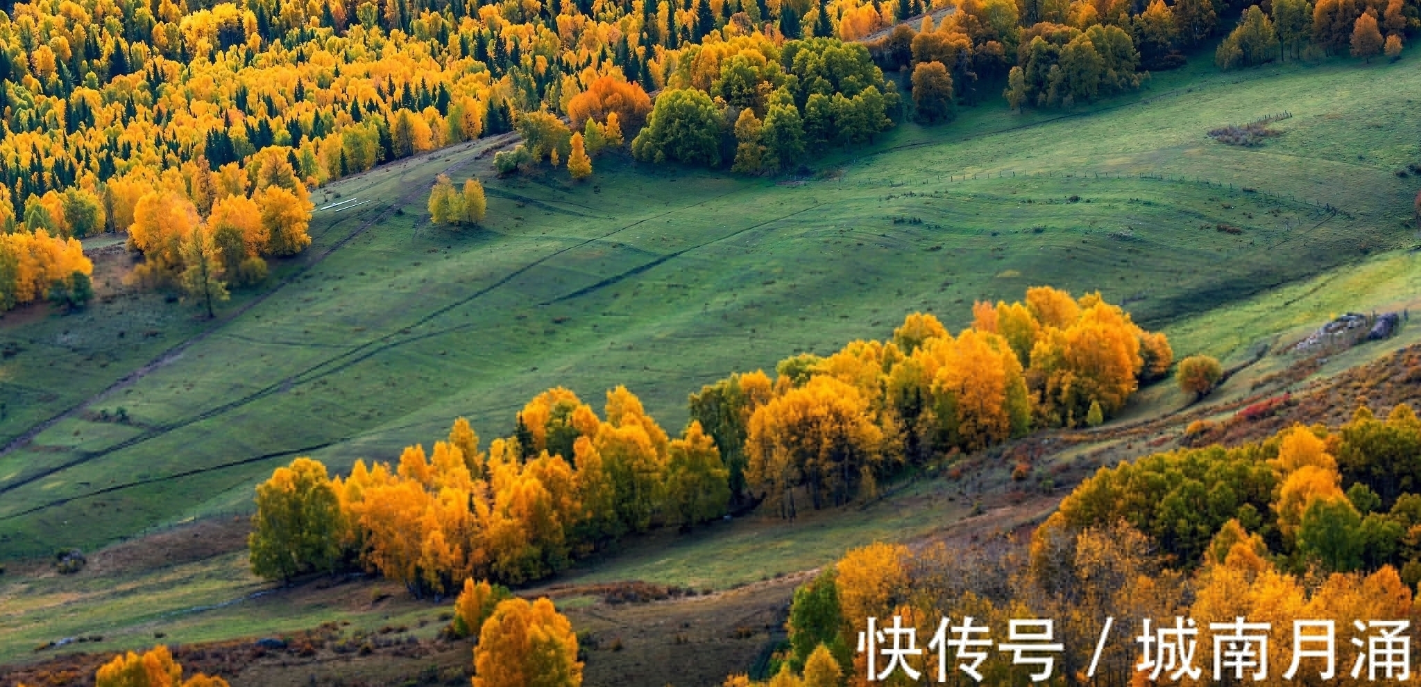 晏几道$唯美秋草古诗词六首：年年陌上生秋草，日日楼中到夕阳