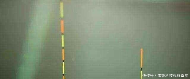 麦穗鱼|夏季钓鱼,面对小鱼大军的攻城略地,为何有些钓友输得很惨