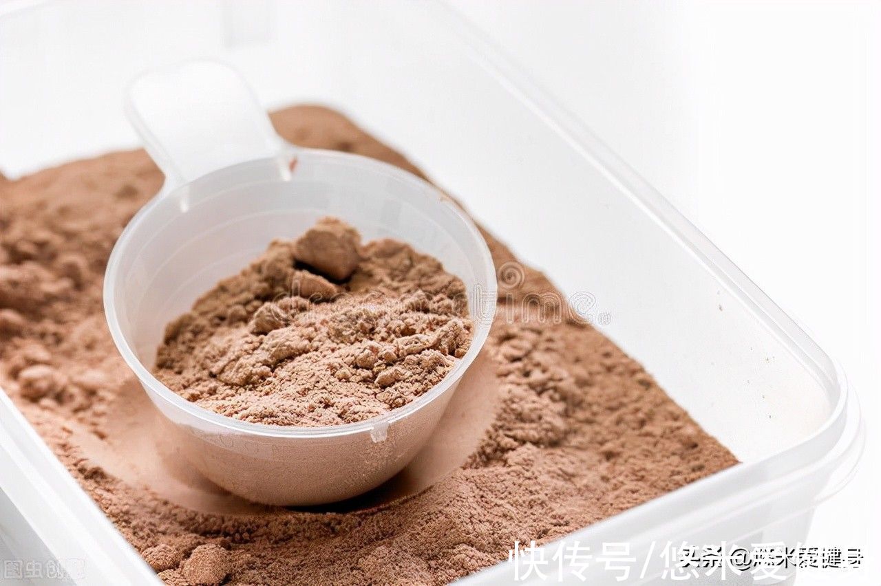 健身|如果每天只吃蛋白粉不锻炼，身材会变成什么样？