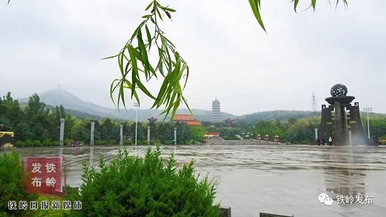 青山|绿水青山｜发现家乡的美