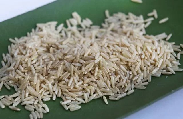 发芽|四种食物发芽后营养或会倍增,有你爱吃的吗?