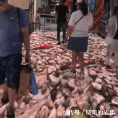 好好学习|“在拼夕夕上买了驱蚊手环,这蚊子是怎么回事?