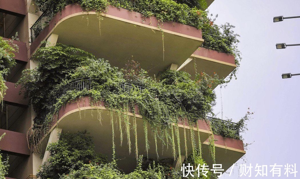 高层住宅|“第四代房”要来了？家家有院子、车停门口，却不被看好！为啥？