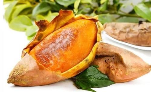 老年人科学的饮食搭配，有益于推迟衰老，健康长寿