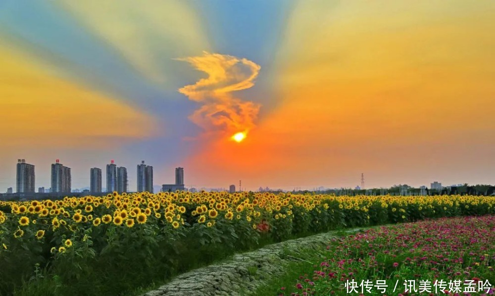 春雨到来，百花盛开！来一场鸟语花香的节后错峰游吧～