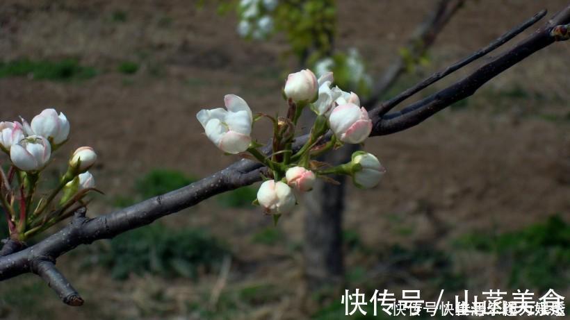 属相|下个月期间，无法抗拒缘分和桃花，收获满意爱情的四大生肖