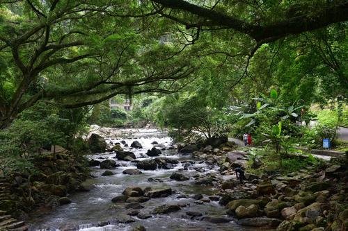 月到中秋故乡明|检察文艺| 院子