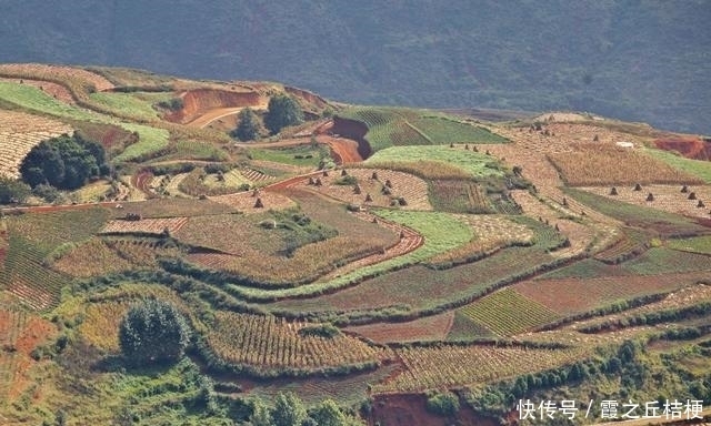 神奇的土地，浓烈的色彩，完美的线条，东川红土地