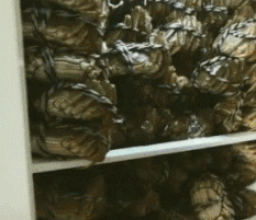 |搞笑GIF图:从开心到难过,其实只需要一个动作