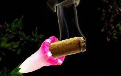 护短!心理学从以下四个方面就可以看出一个人是君子还是小人