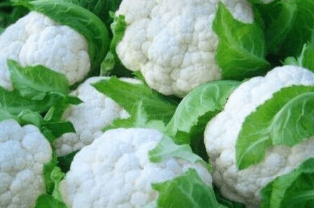 并发症|内分科主任 糖尿病很怕这6种蔬菜, 糖友多吃点!