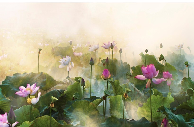 千古@柳永《望海潮》姊妹篇,写尽大宋繁华盛况,是千古佳作却少有人读