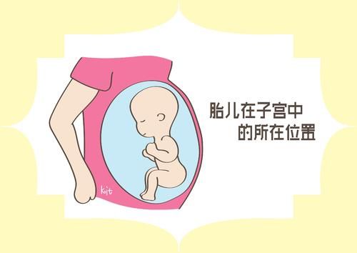 形状|孕妈肚子的形状,和胎儿性别有关?孕产专家告诉你答案