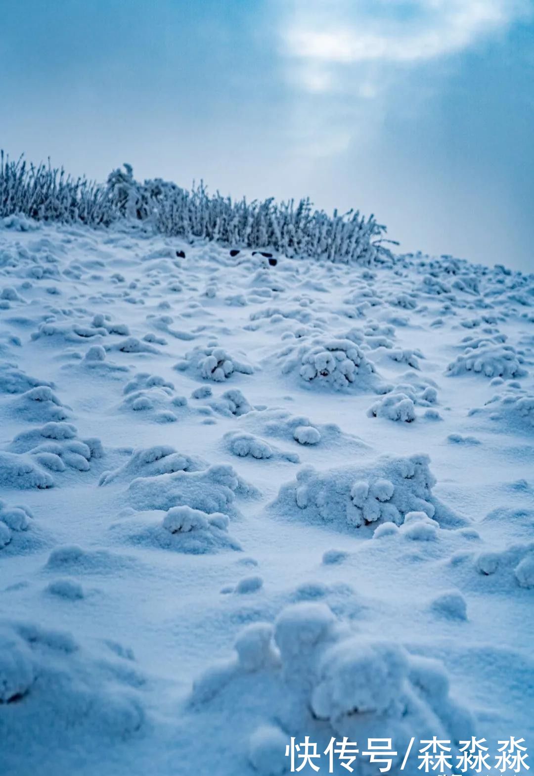 山下|十里风雪天涯路，秦岭雪乡留下吧，紫柏山下是我家